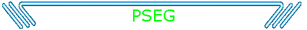 PSEG